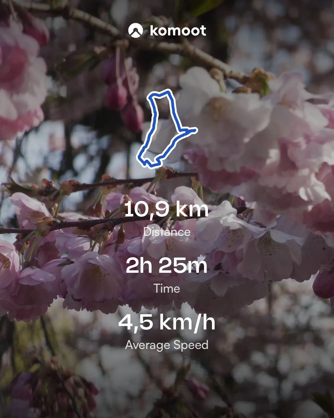 A close-up of pink cherry blossoms in bloom, with a digital overlay showing a route map outline. Below the map, details indicate a distance of 10.9 km, a time of 2 hours and 25 minutes, and an average speed of 4.5 km/h.