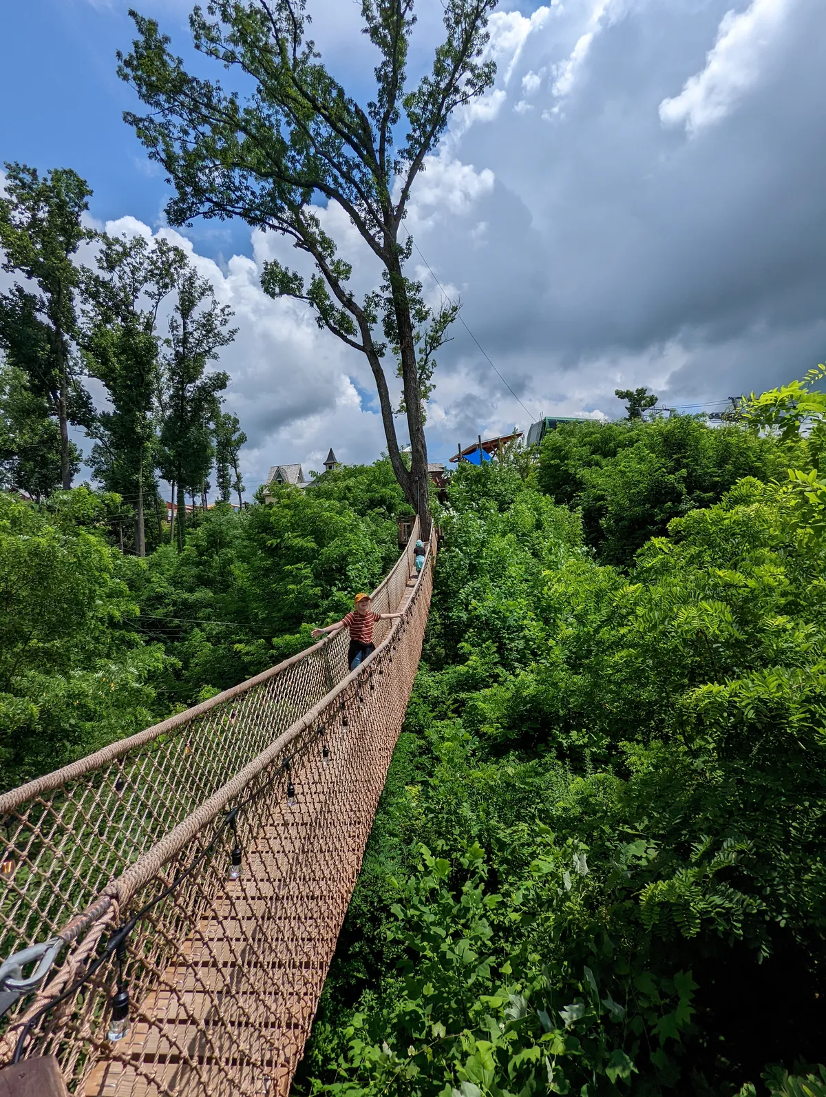 my family on a foot bridge through the tree tops at Anakeesta in Gatlinburg TN