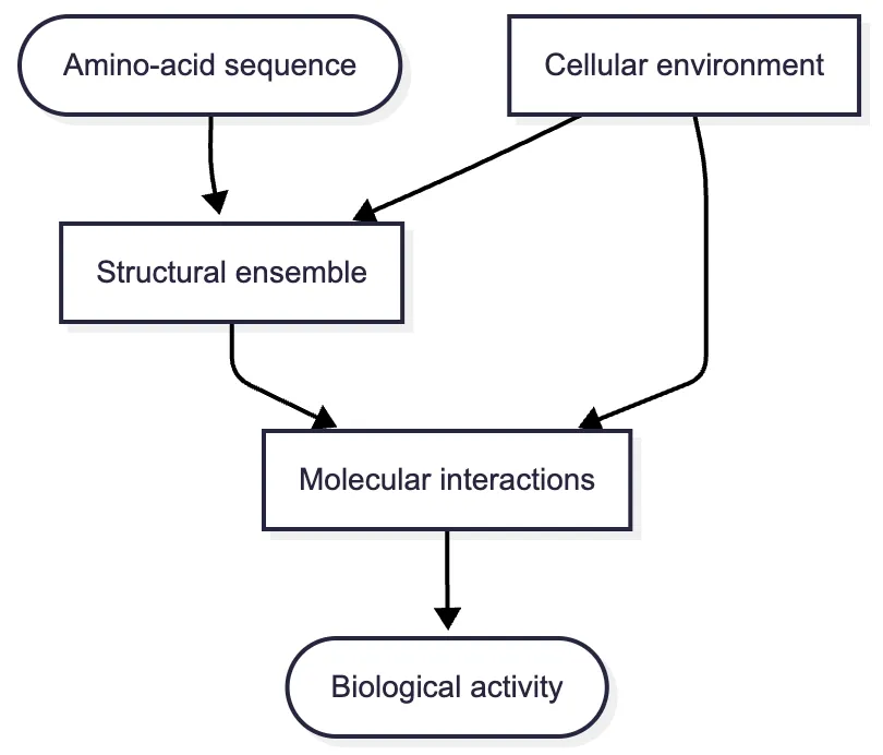 From sequence to biological activity