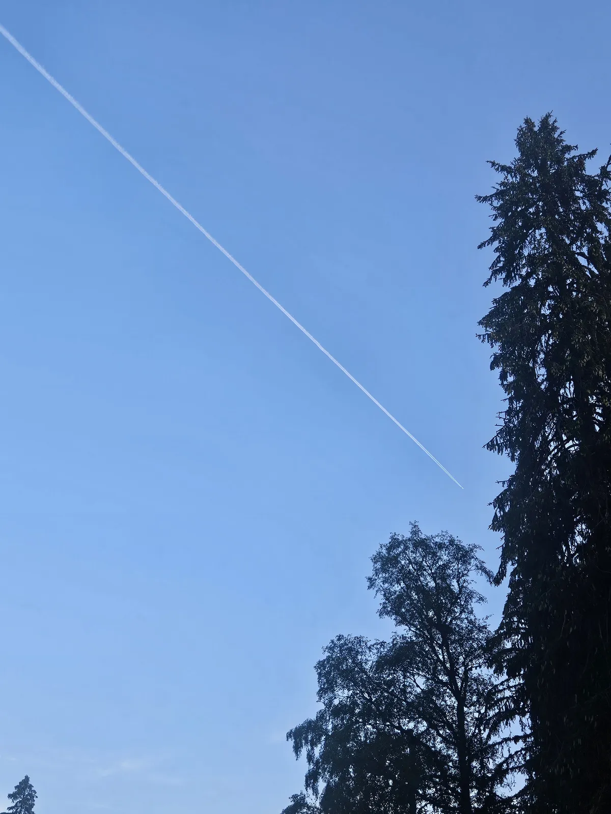 20260804_065150