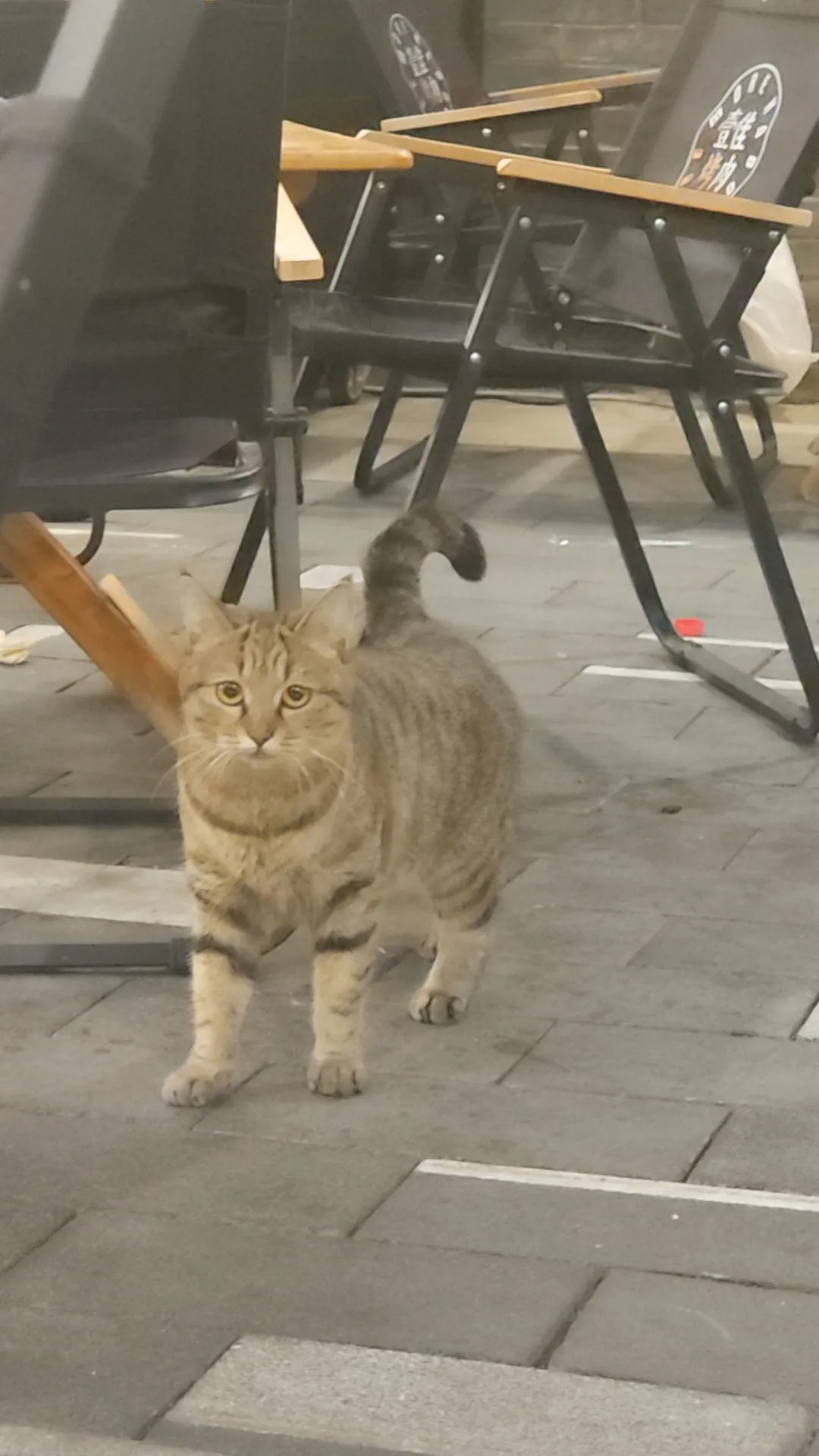 wx_camera_1790505829360