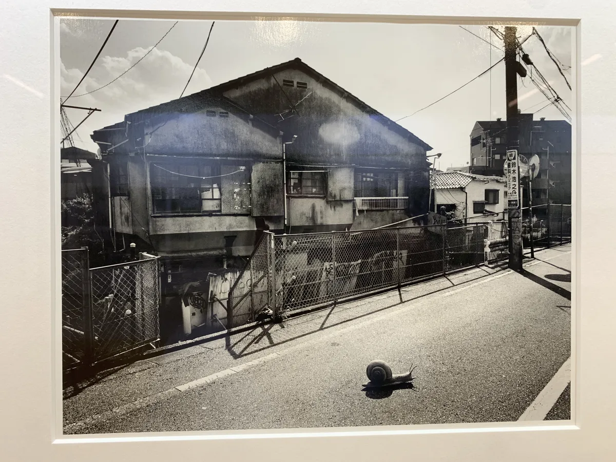 A black and white photograph showing a dilapidated old house with a snail crossing the road in the foreground. The snail looks oddly huge in the photo.