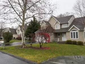 imgi_63_7A8FD5D1-7F98-4477-890C-62F750307C67-300x225