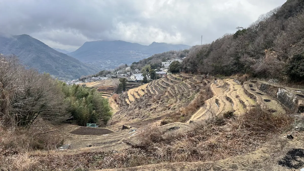 Nakayama terraced rice paddies
