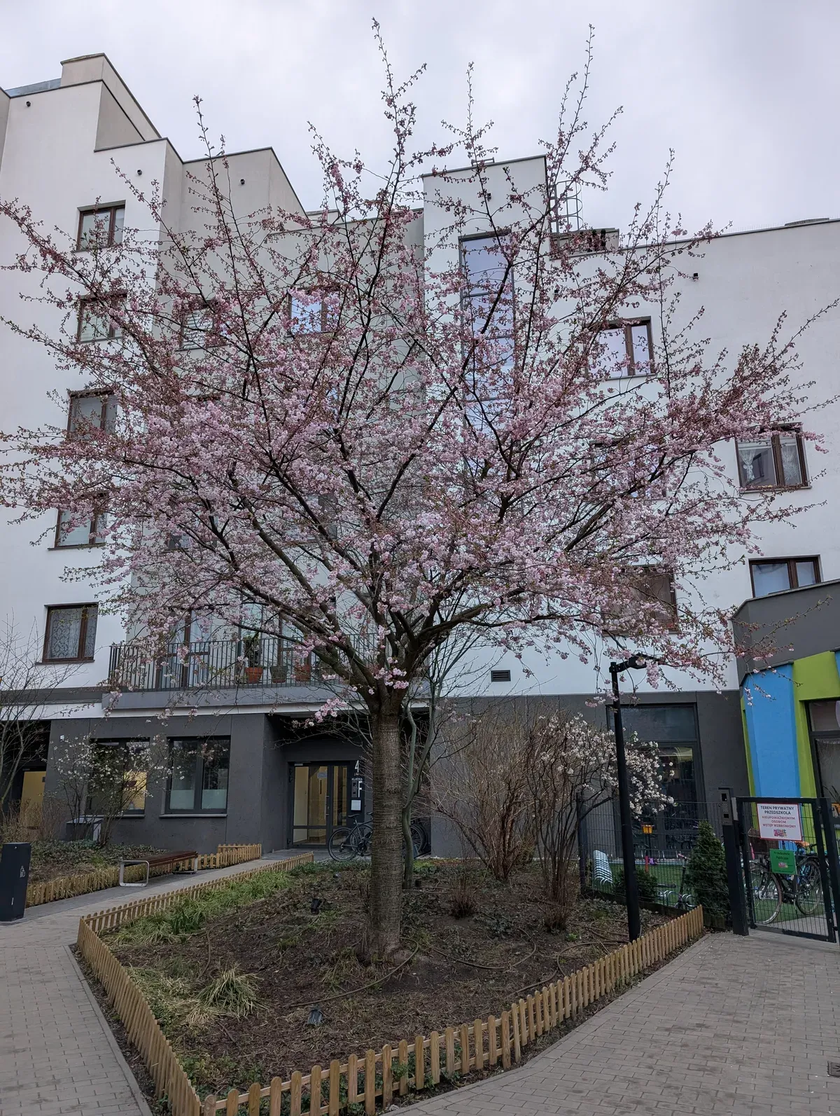pxl_20260330_055832126