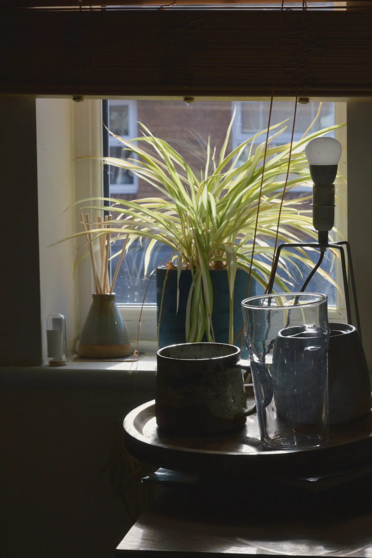 A vertical colour photograph of empty dishes on a wooden tray on a small high table by a window. The window brings in light diffused by a plant. The rest of the scene is relatively dark. The dishes are a ceramic large mug, a glass pint glass, and a small grey teapot.