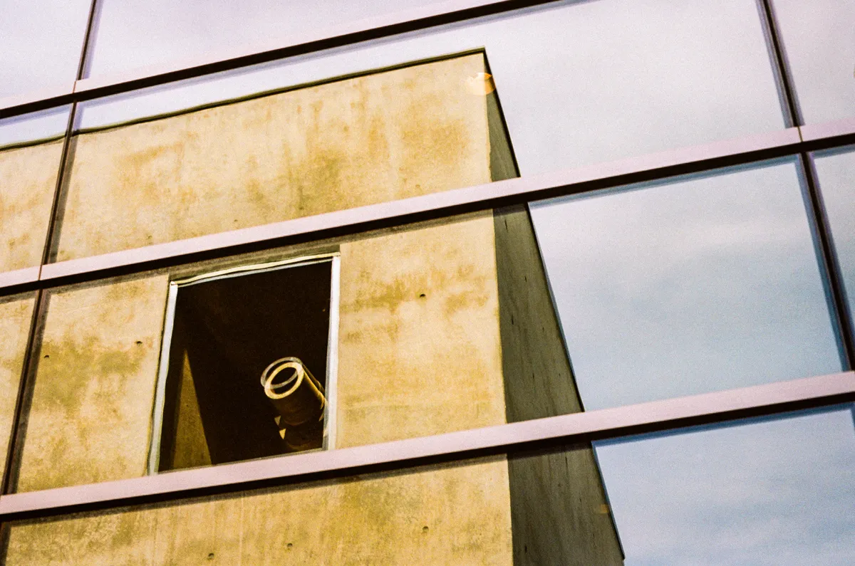 kodak_professional_portra_160_07_20_2022_000054940018