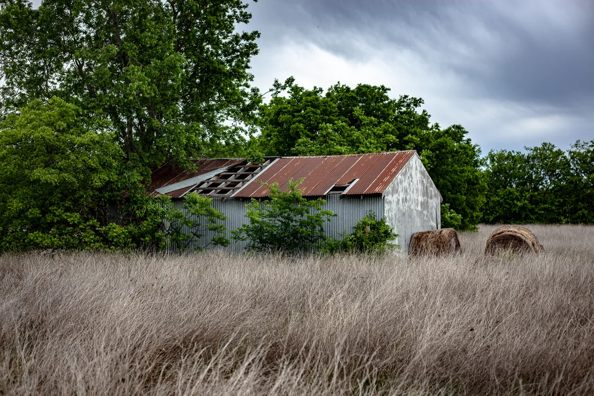 _MG_6789-2