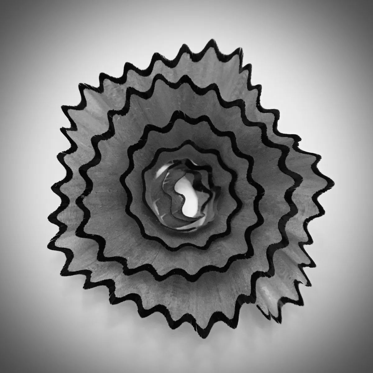 Pencil Shavings