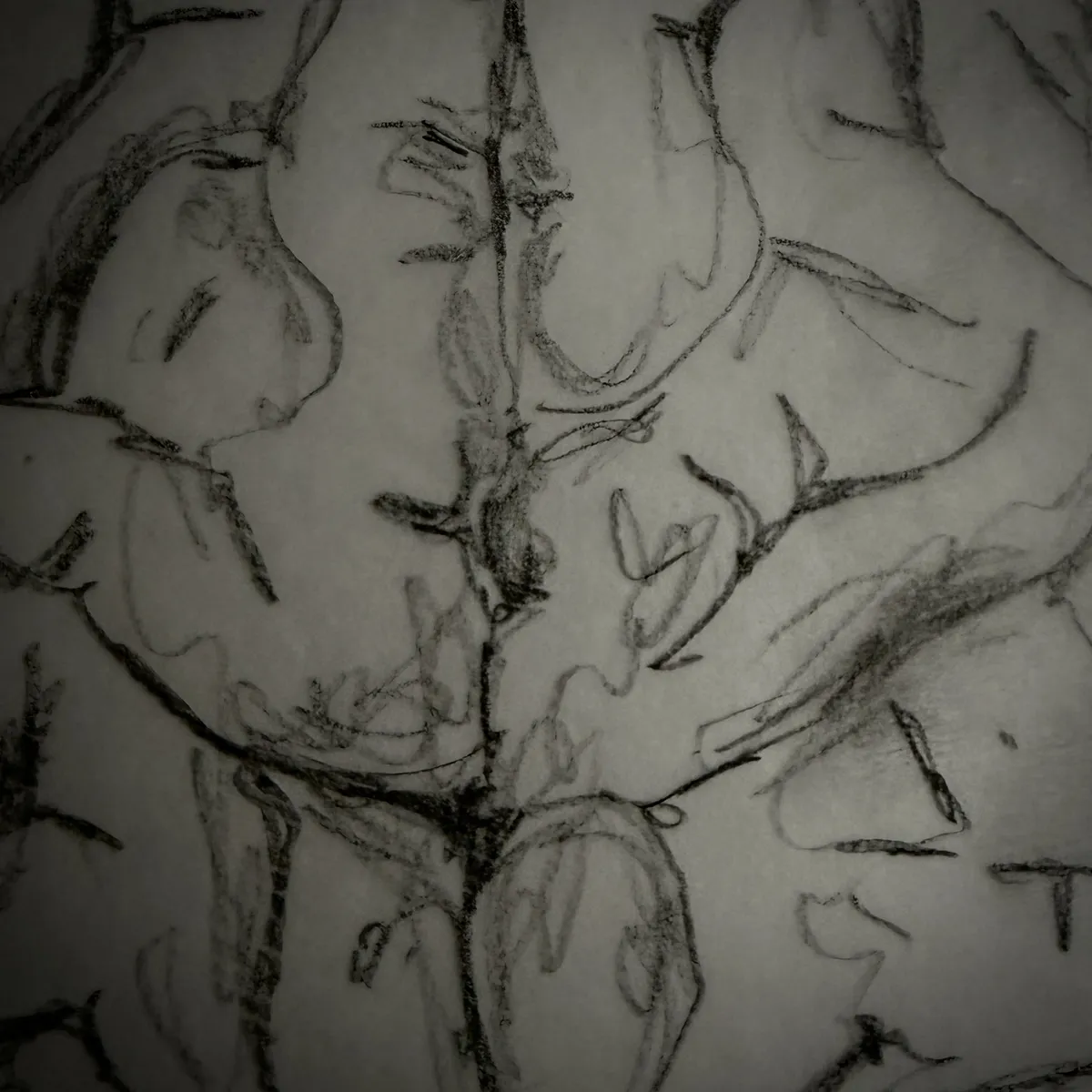 pencil sketch of a brain section