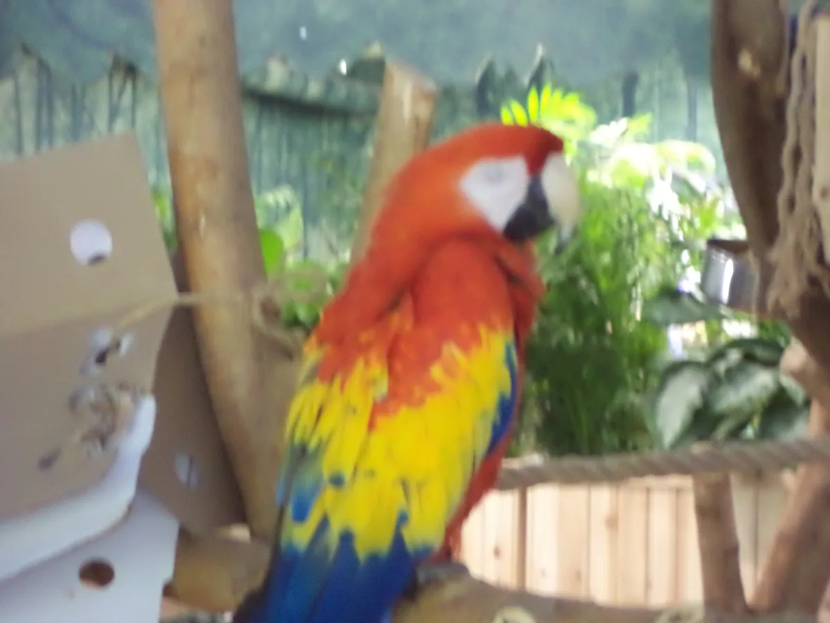 DSC01627