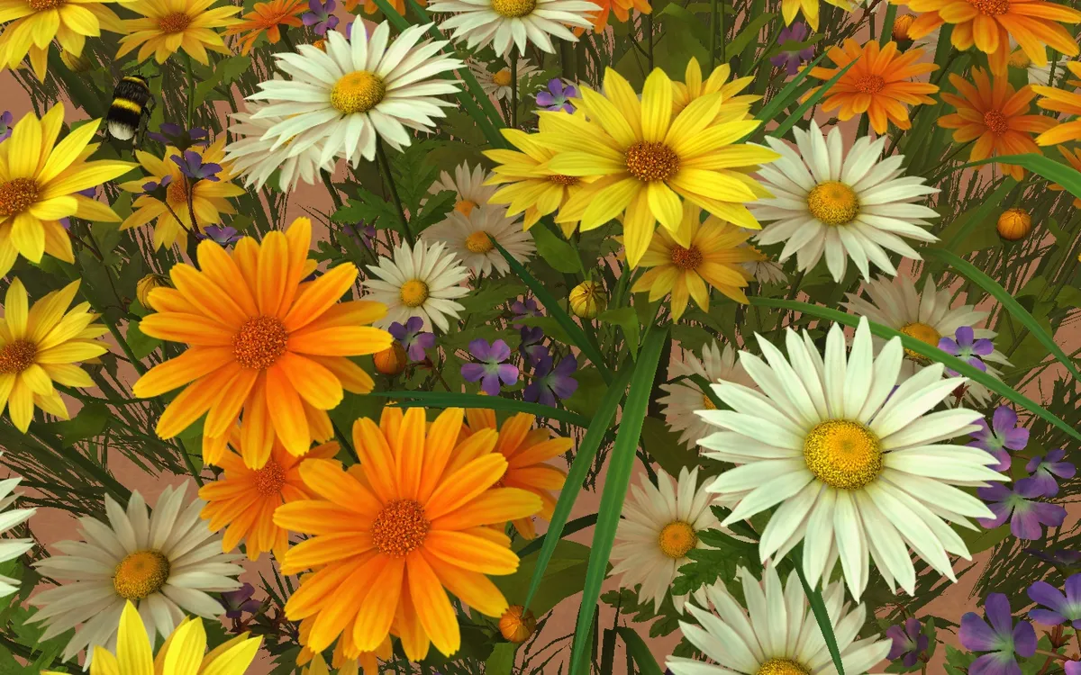 Wildflowers Screenshot 01