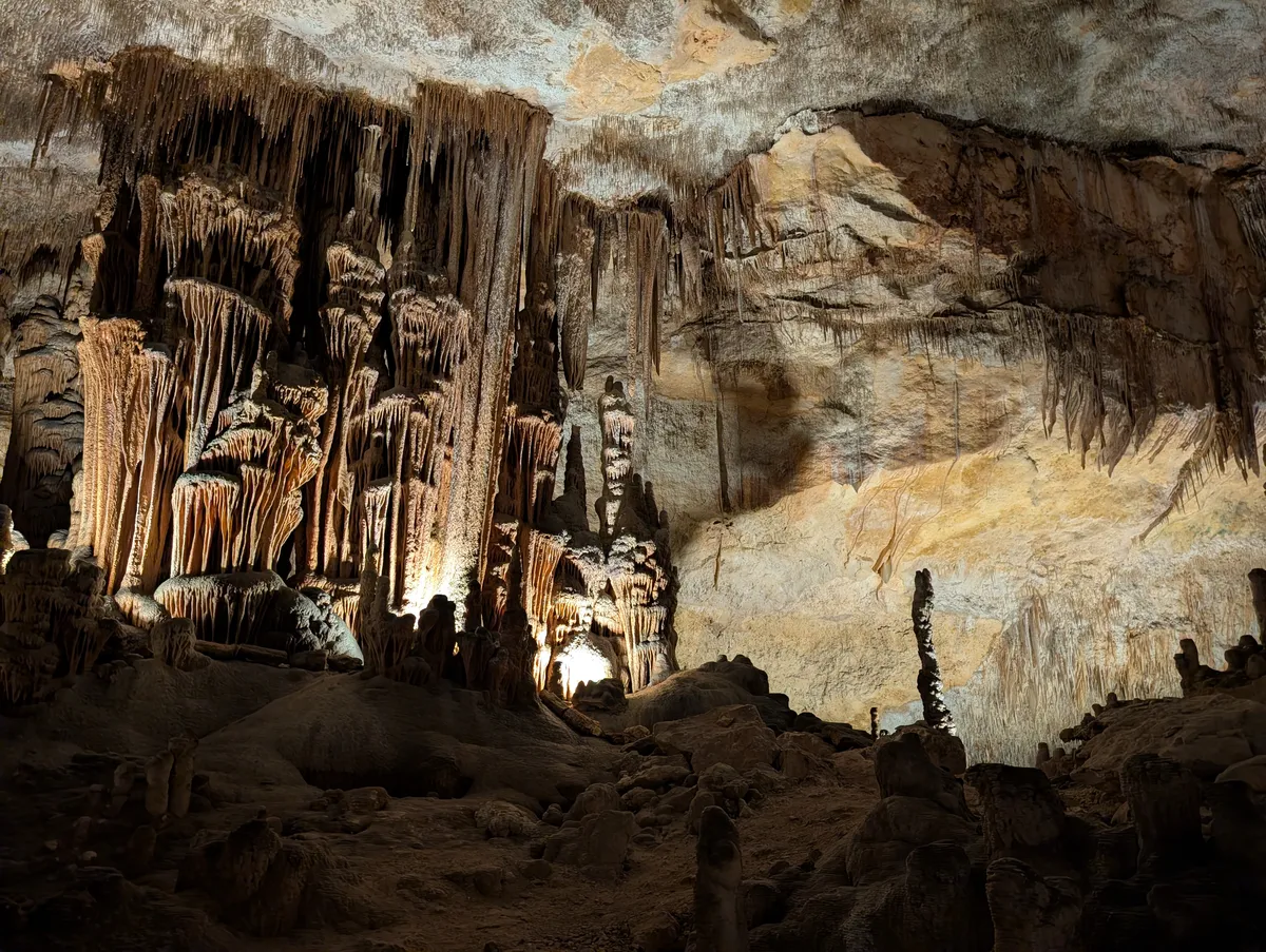 Coves del Drach - One