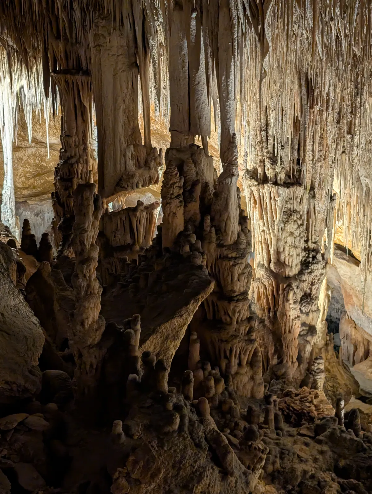 Coves del Drach - Two