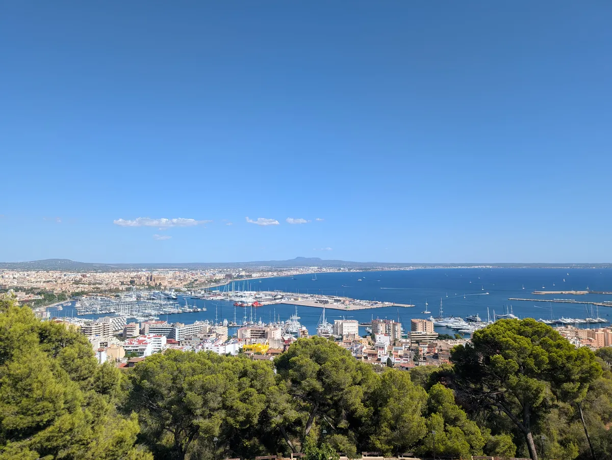 Palma View