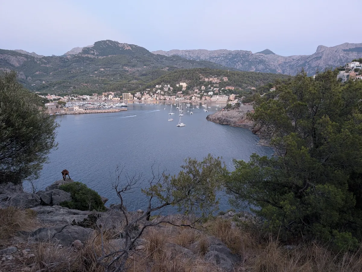 Port of Soller