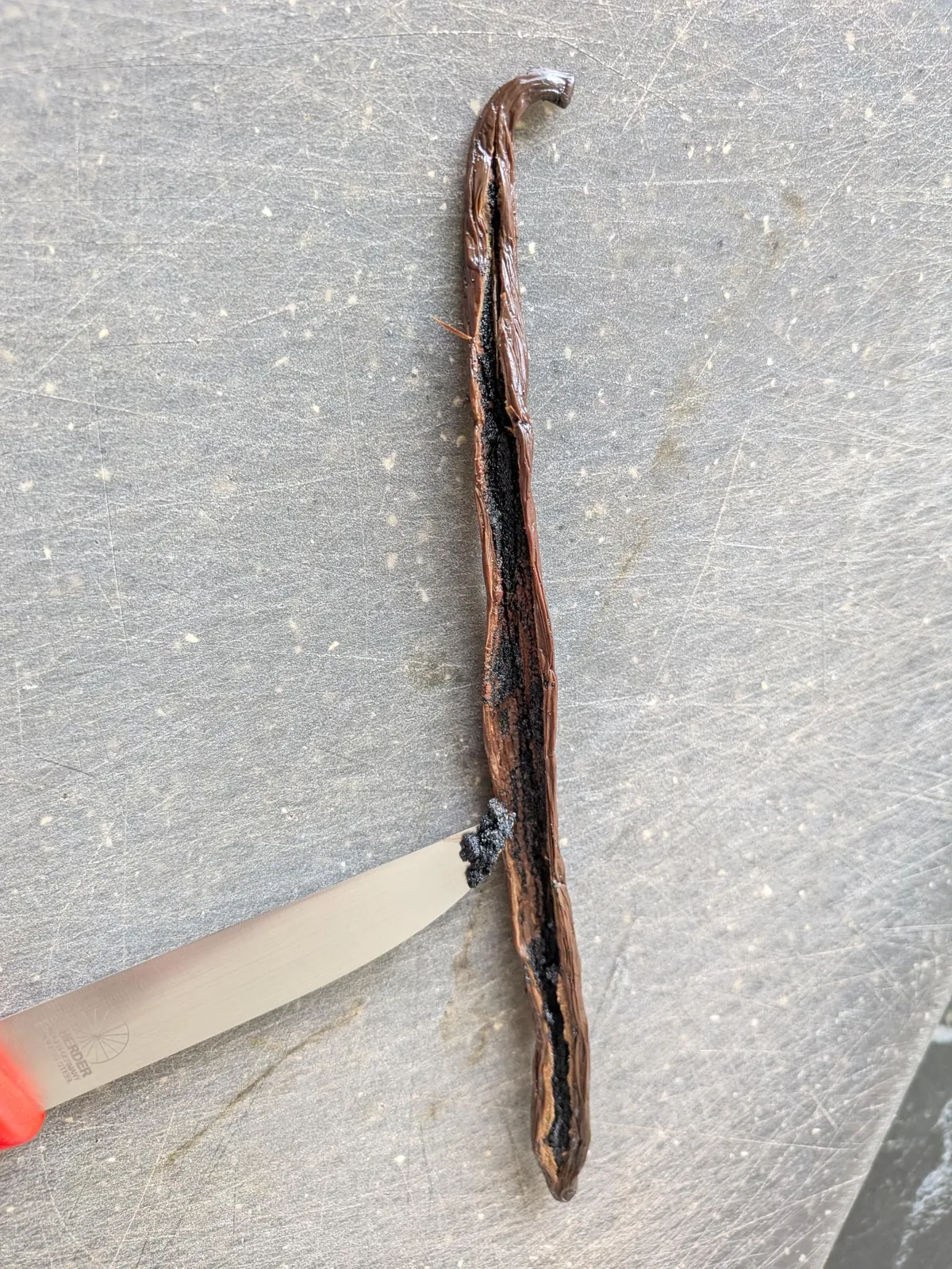 Removed vanilla bean seeds