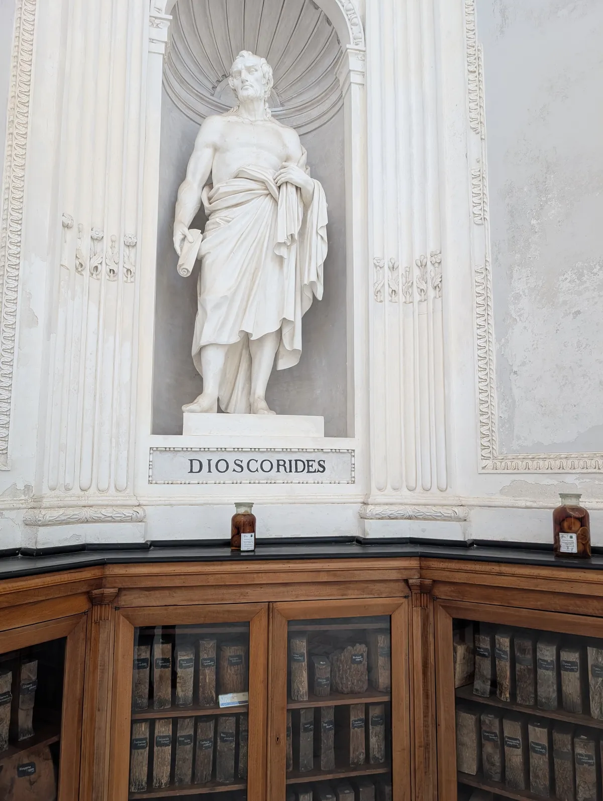 Dioscorides