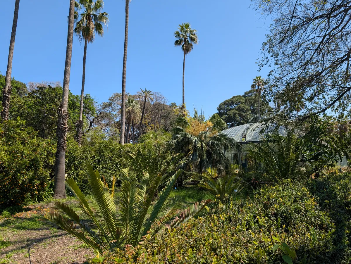 Overview of botanical garden
