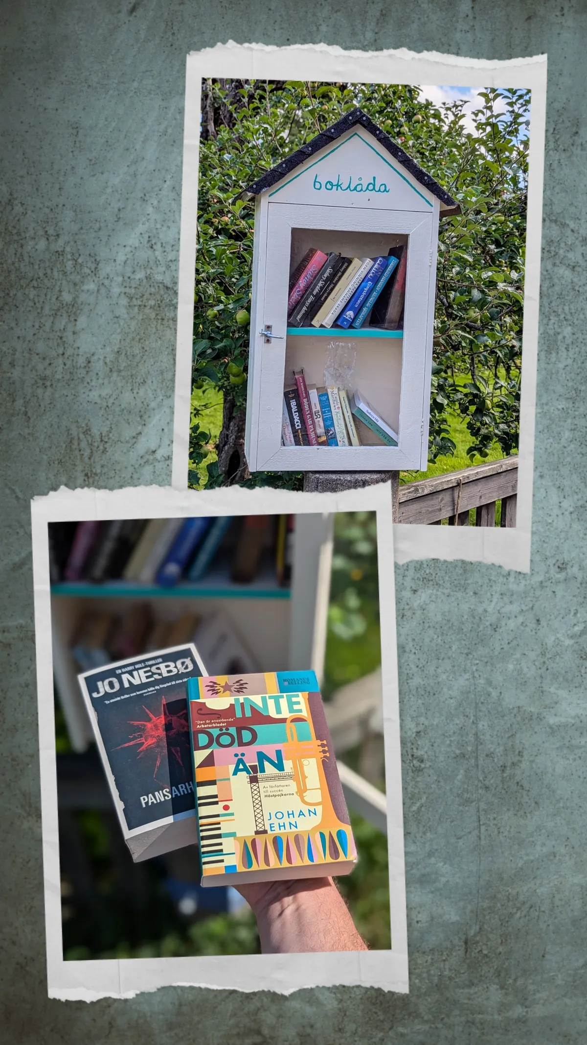 20240805_195941-COLLAGE