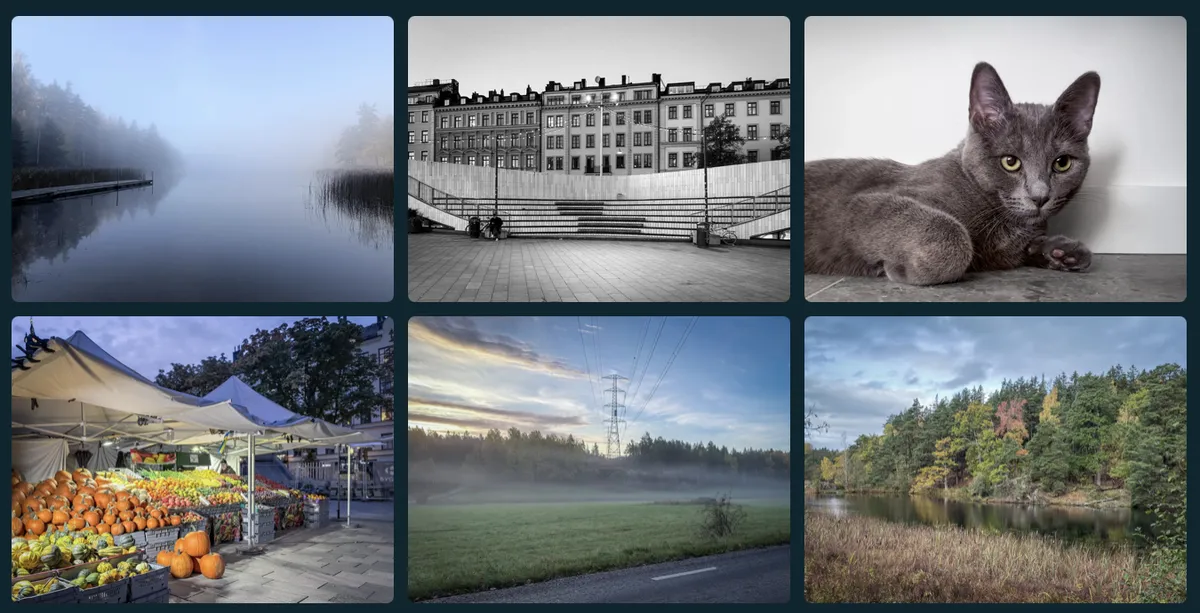 A grid of six photos shown as a gallery