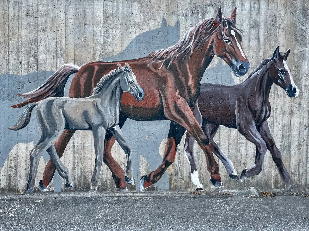 Horses street art