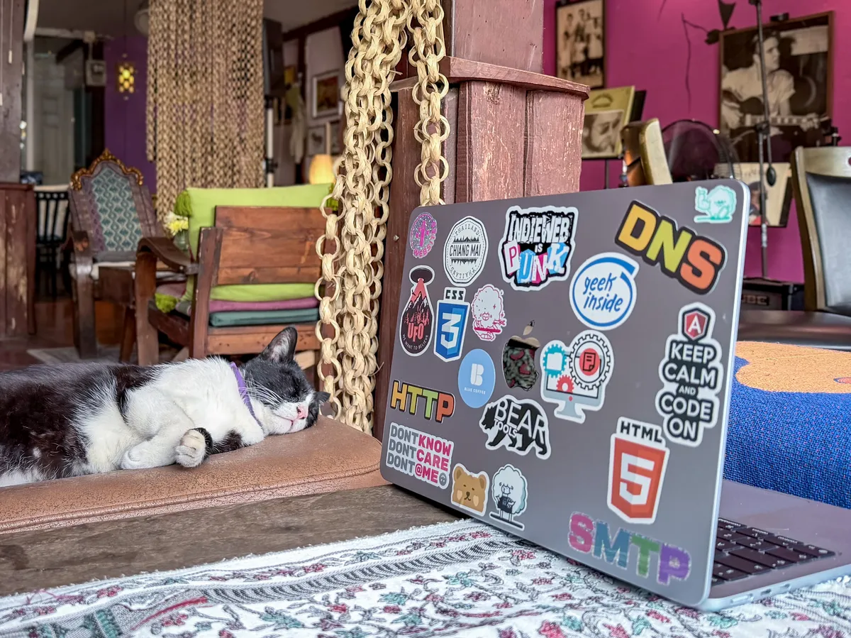 Laptop and cat