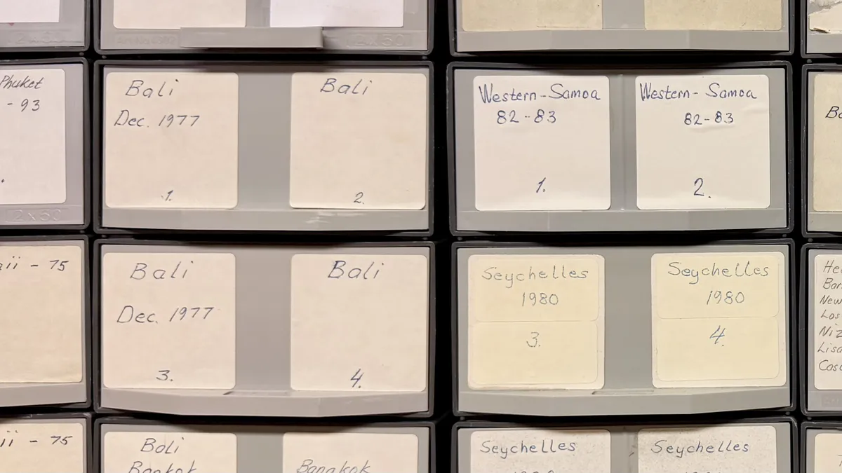 Slides collection