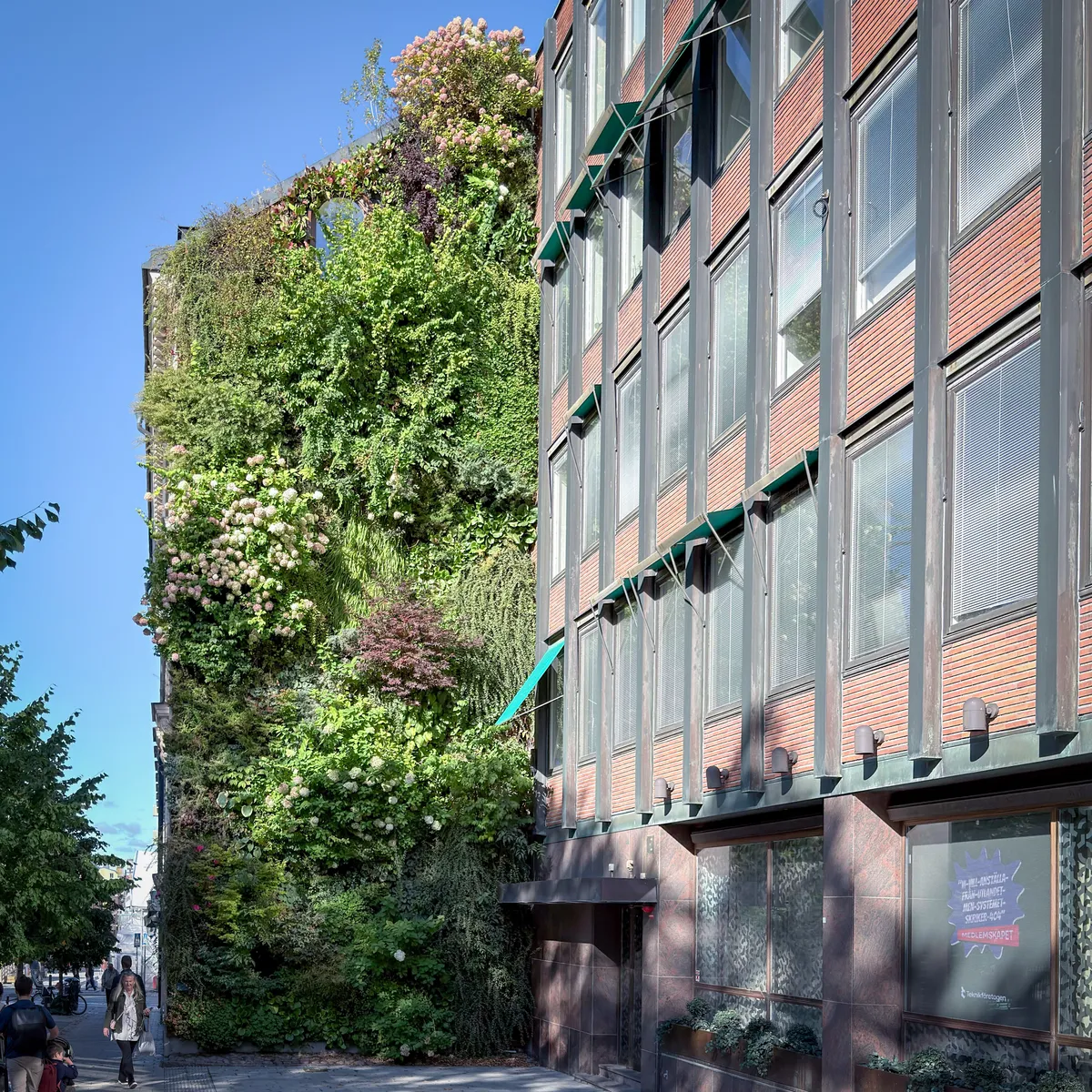 Plant wall