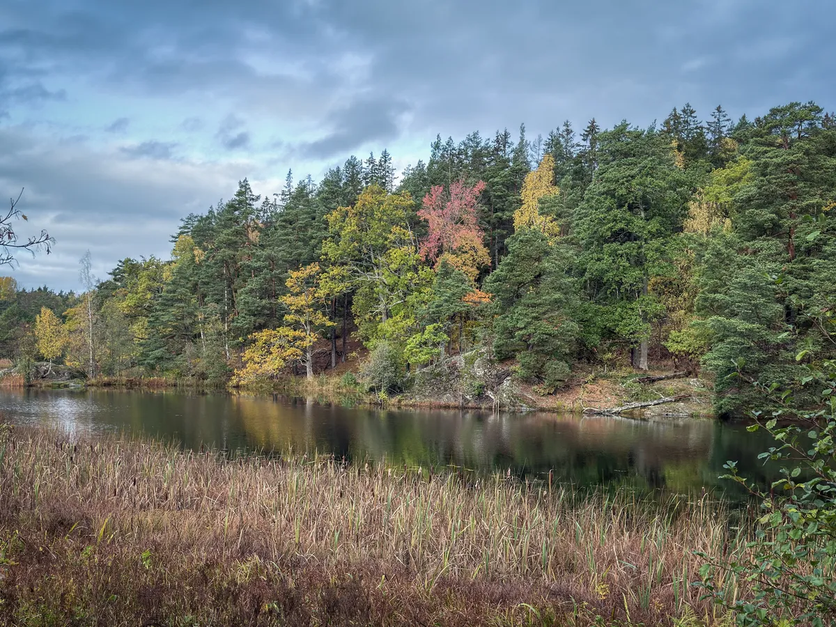 Tyresö, 14 Oct 2026