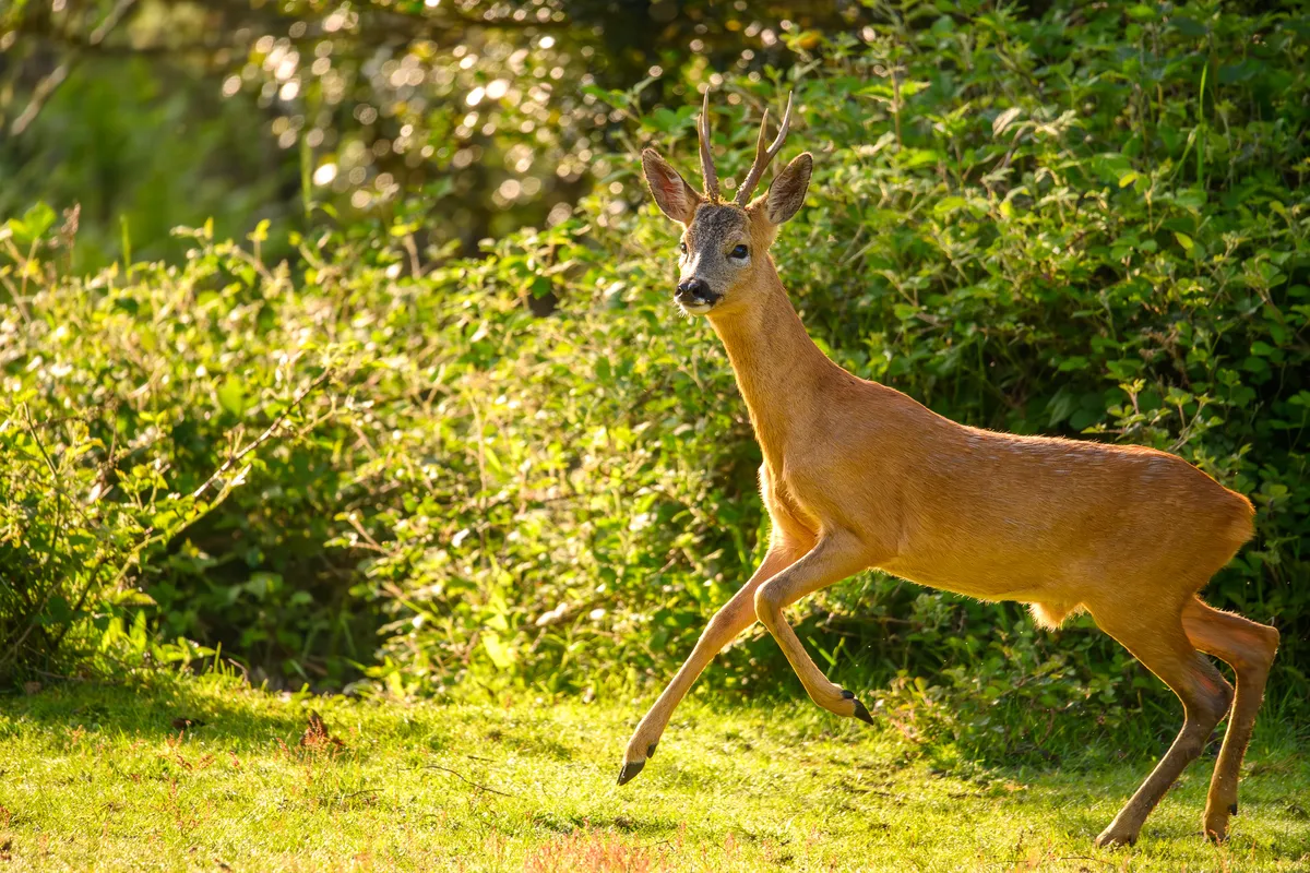 _DSC4323-Enhanced-NR