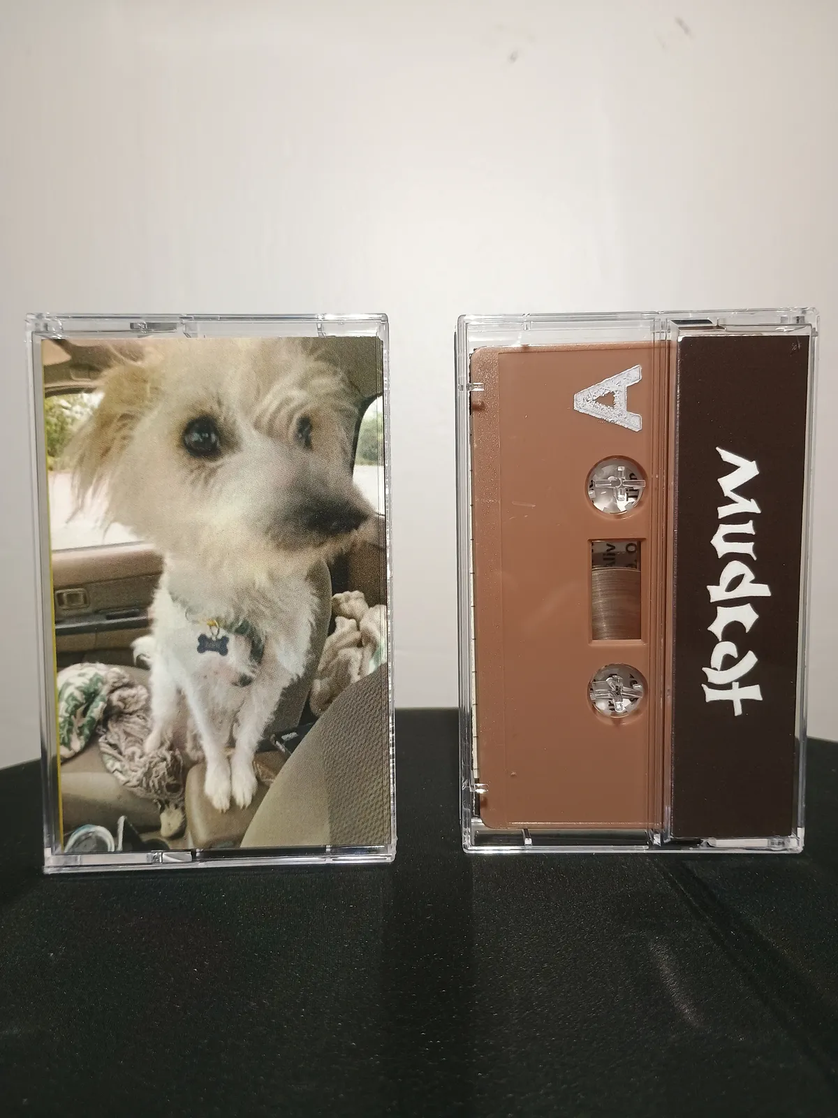 Mudcat the Stuzslack Dog Dog Dog Store Photo