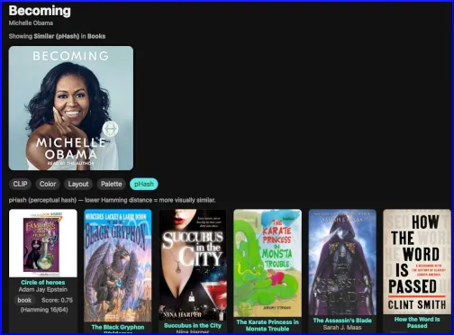 Images similar by 'PHash' to Michelle Obama's book cover