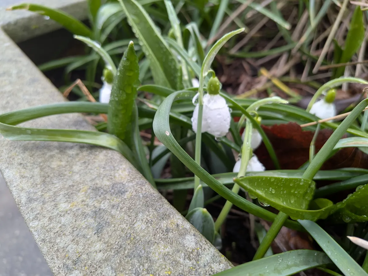 PXL_20260228_143048330