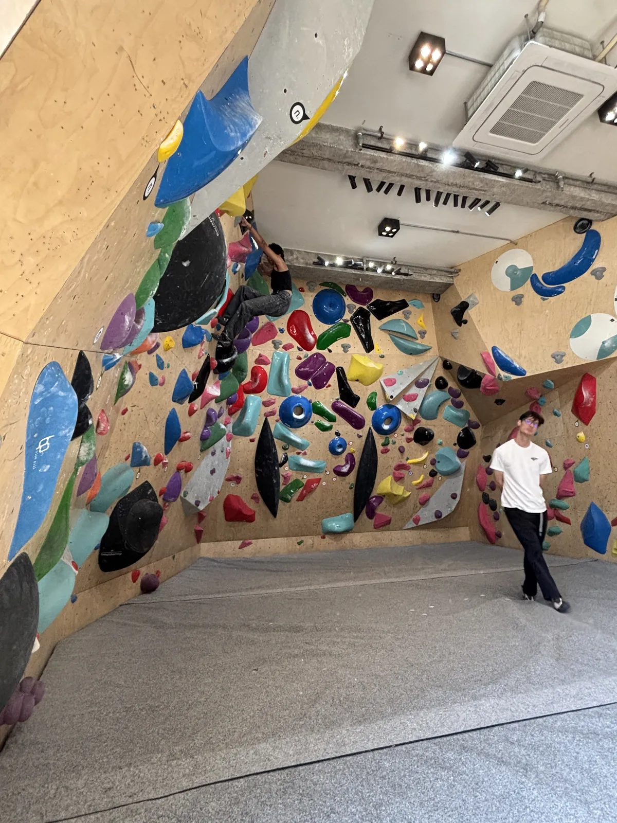 9AF80488-9515-440D-A017-B282AC2A5BFB