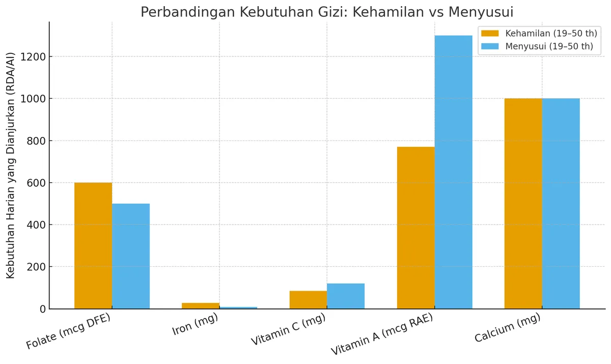 Perbandingan AKG Kehamilan vs Menyusui