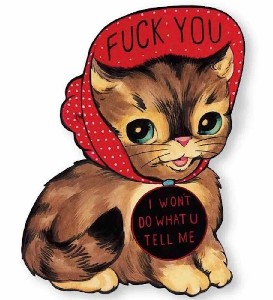 Kitty