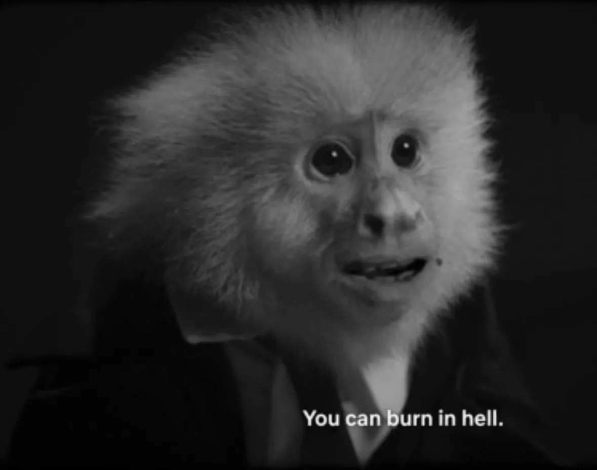 Monkey