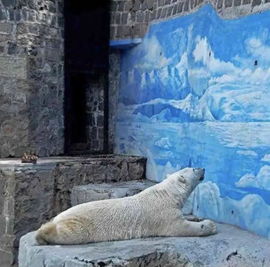 Polar