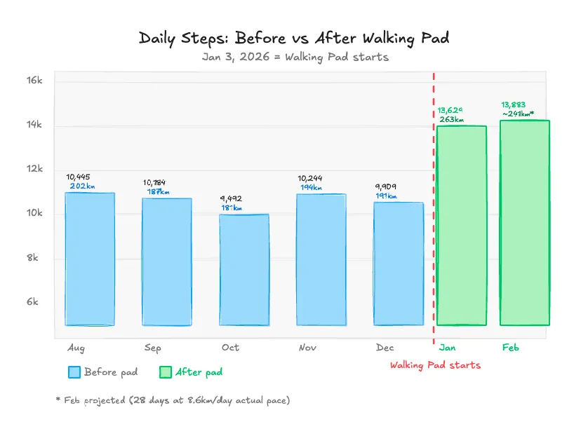 Screenshot 2026-02-20 at 3