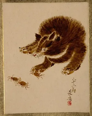 bear