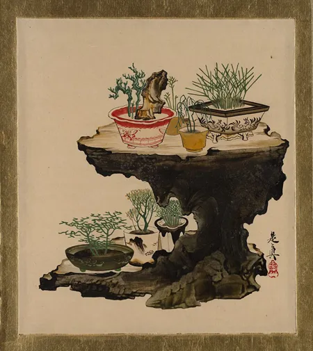 bonsai stump