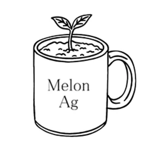 hilmy-farras-buQhMWd4rtg-unsplash