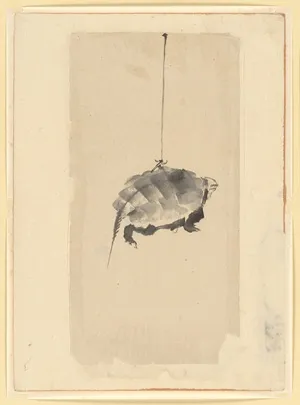 tortoise ona  string