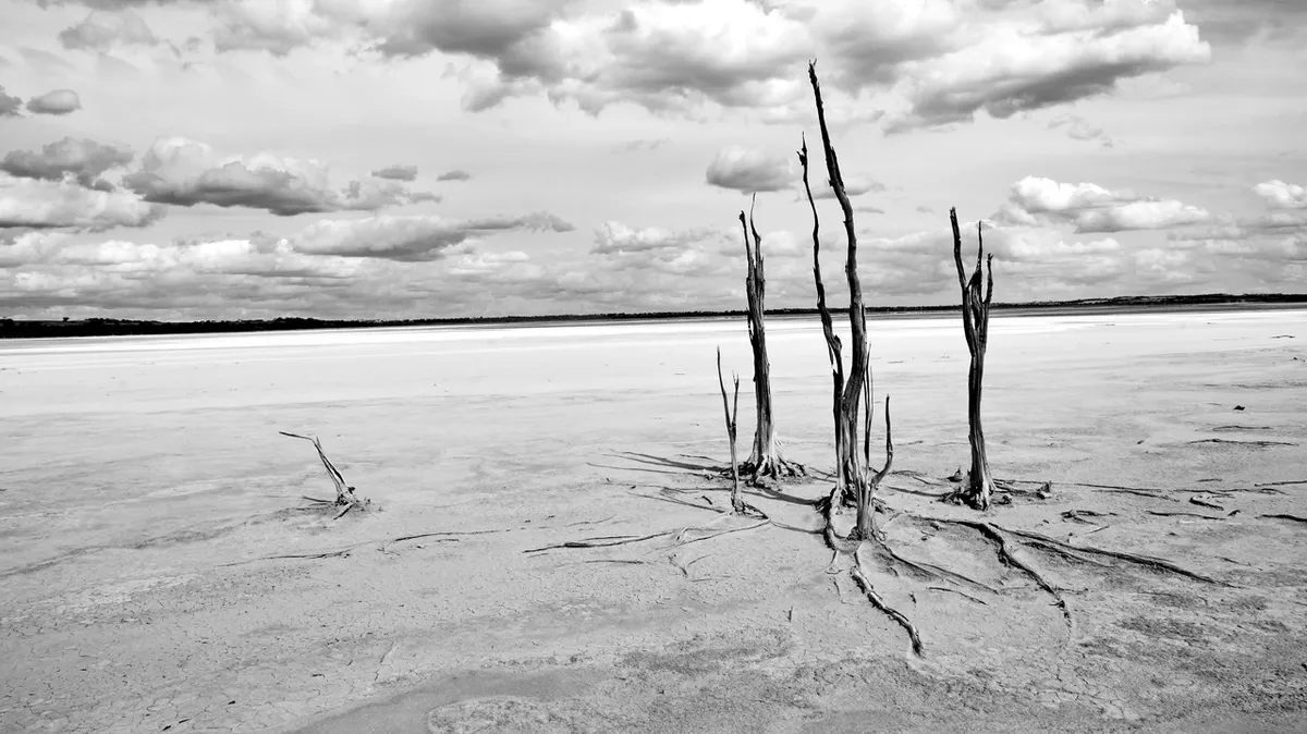 Dumbleyung Lake - 2016 - Blink Photography Awards Finalist, 2018