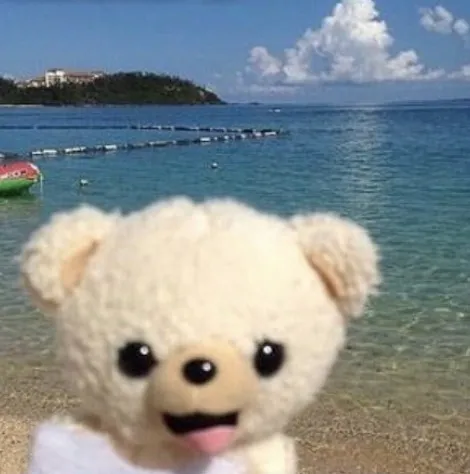 me as a bear by the beach