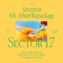 saraf's seventeen studies
