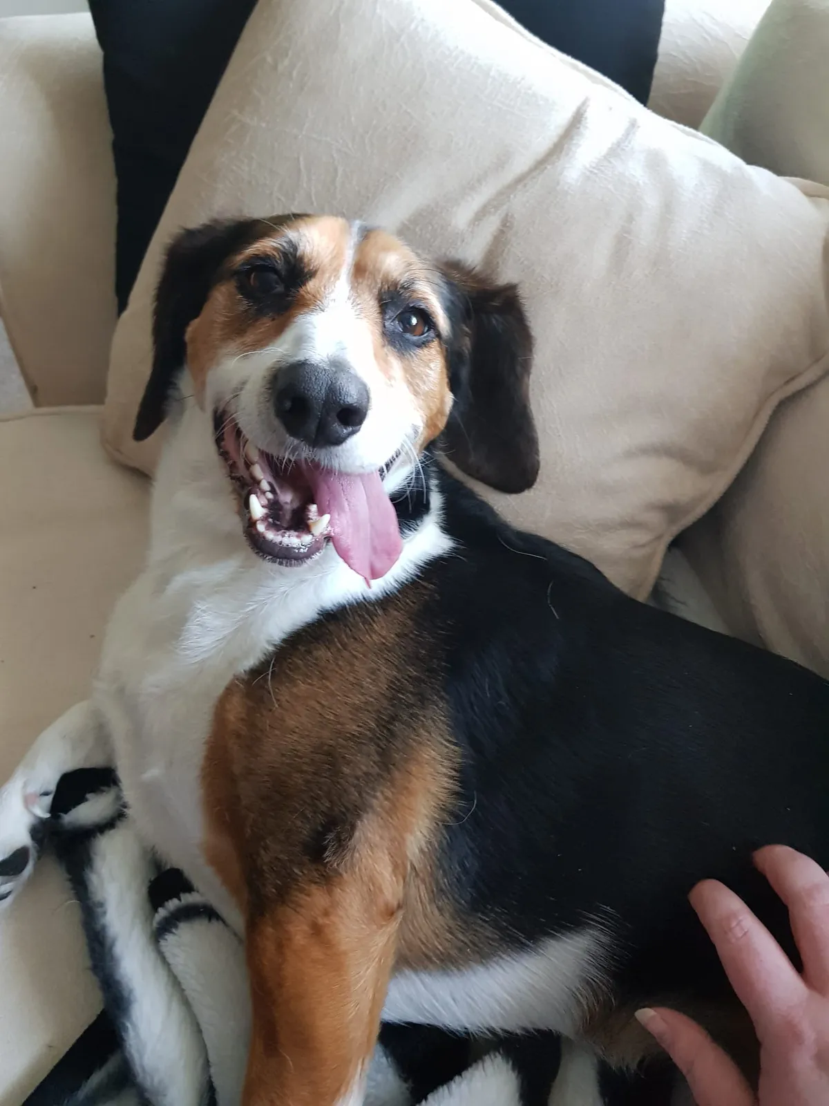 9b55e757-2ed2-4e21-bf06-63946b7d0e7f