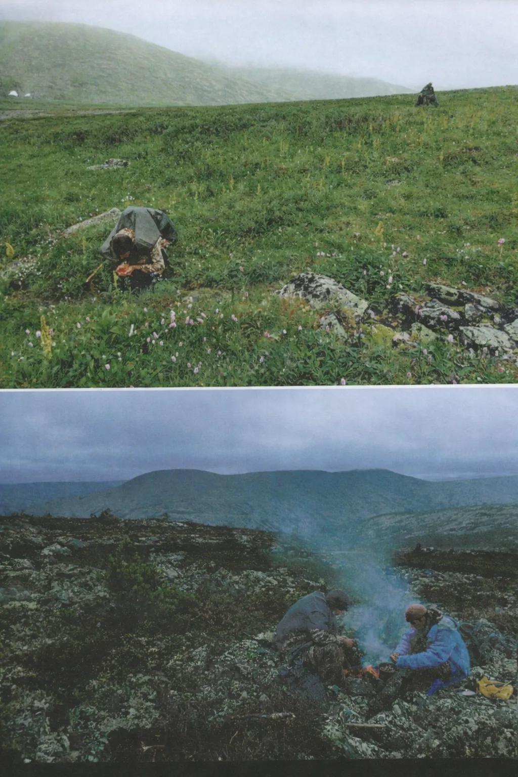 Misty landscape in the Ural wilderness