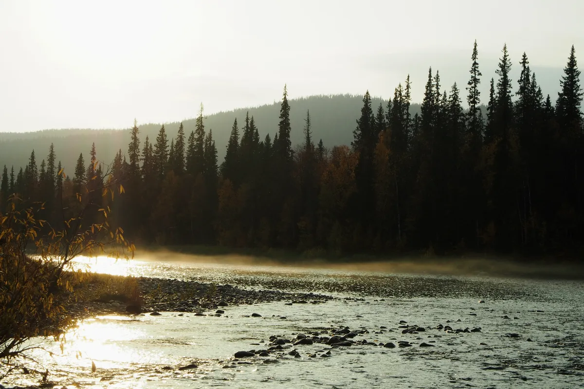 Rivière de Sibérie